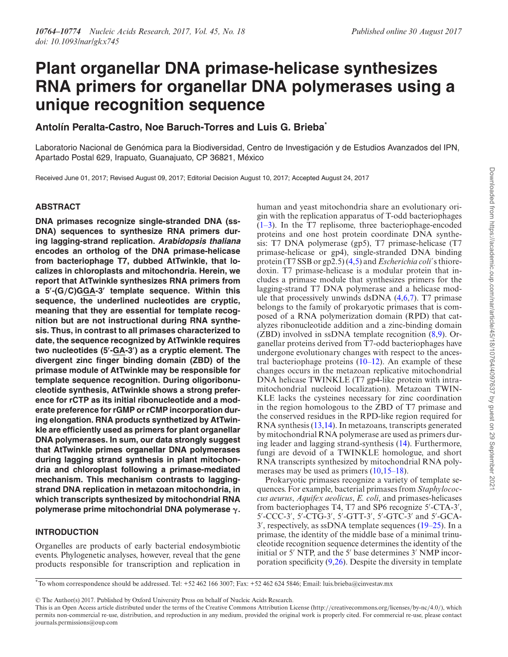 Plant Organellar DNA Primase-Helicase Synthesizes RNA