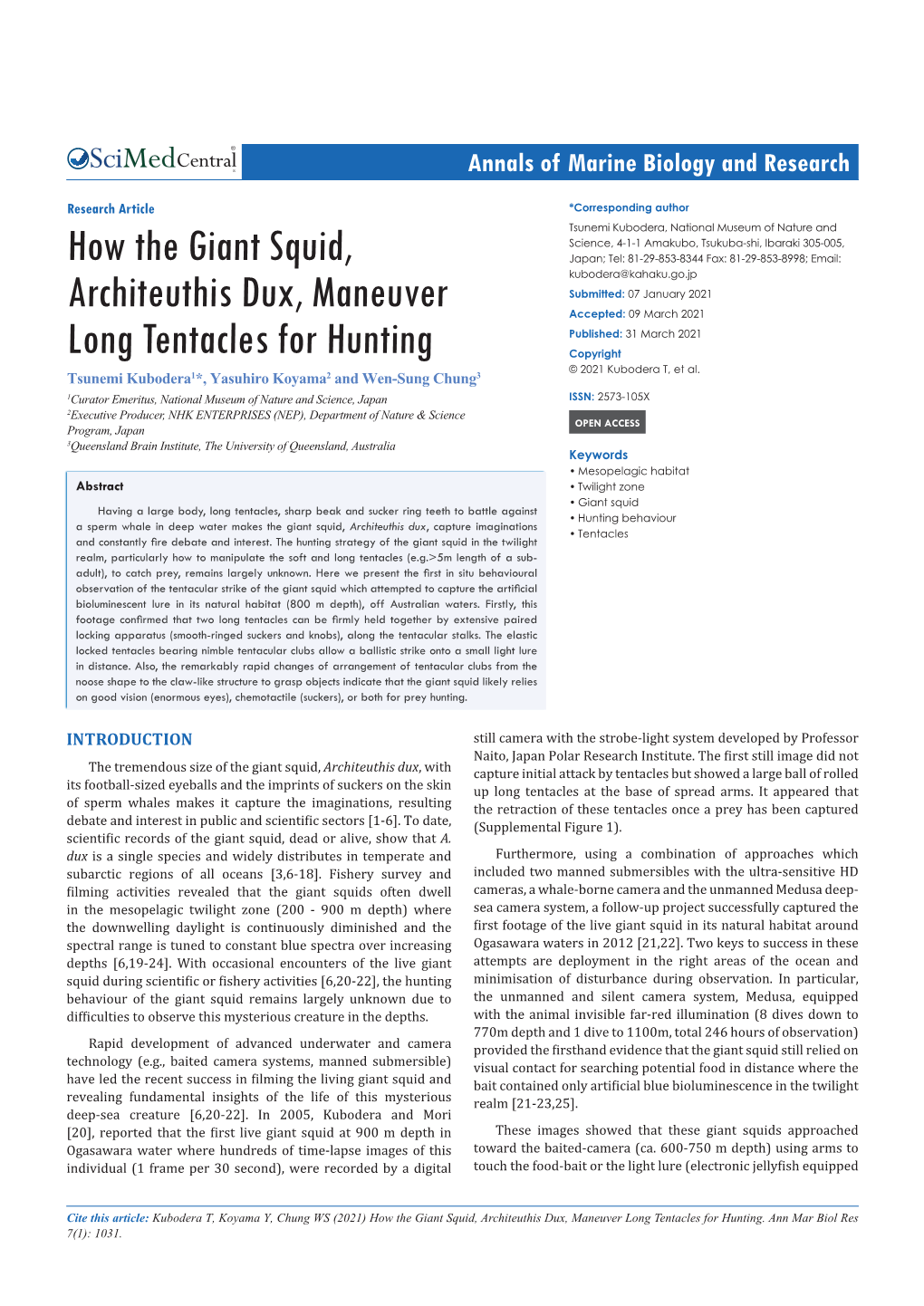 How the Giant Squid, Architeuthis Dux, Maneuver Long Tentacles for Hunting