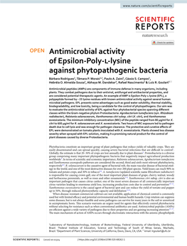 Antimicrobial Activity of Epsilon-Poly-L-Lysine Against