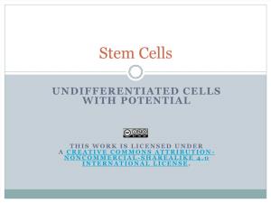 10B. Stem Cells