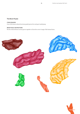 The Brain Puzzle a Set of the Brain Coloured Sections Puzzle Pieces For