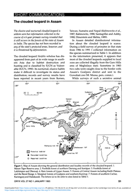 The Clouded Leopard in Assam