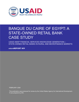 Banque Du Caire of Egypt: a State-Owned Retail Bank