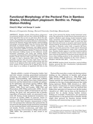 Functional Morphology of the Pectoral Fins in Bamboo Sharks, Chiloscyllium Plagiosum: Benthic Vs