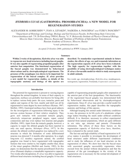 Hydrobia Ulvae (Gastropoda: Prosobranchia): a New Model for Regeneration Studies