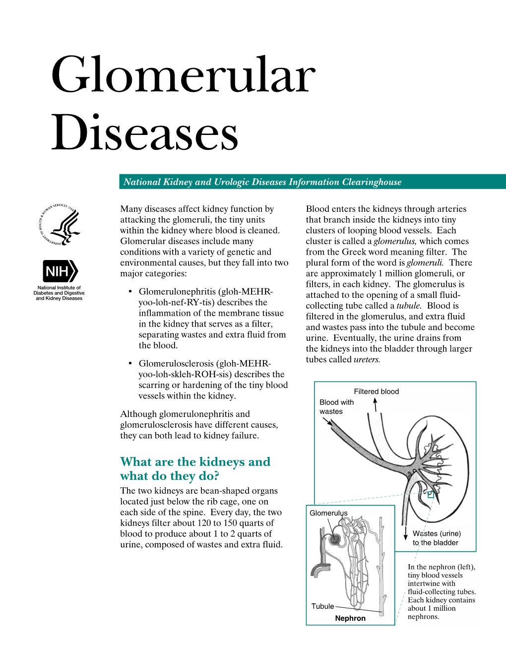 Glomerular Diseases