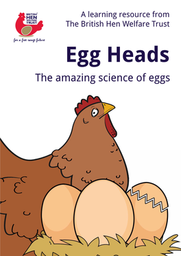 The Amazing Science of Eggs Welcome