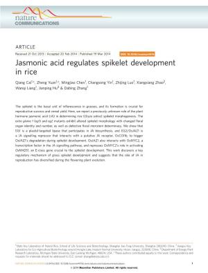 Jasmonic Acid Regulates Spikelet Development in Rice