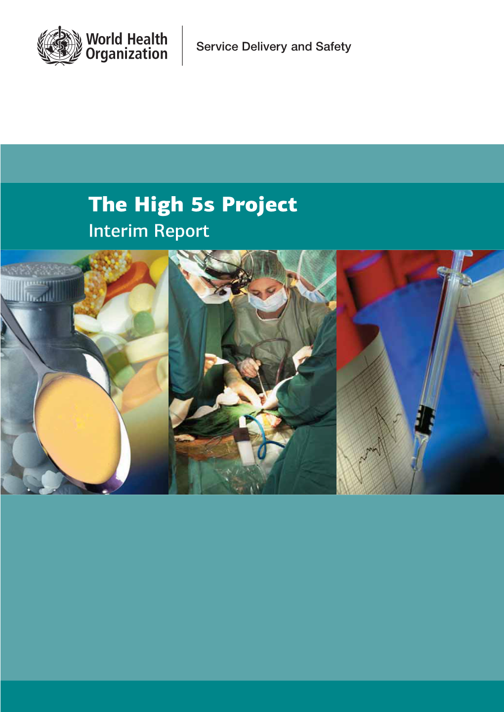 The High 5S Project Interim Report the High 5S Project Interim Report