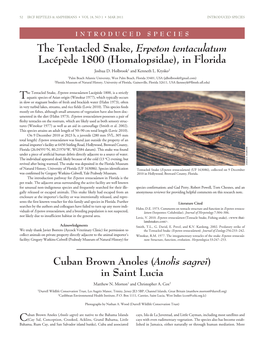 The Tentacled Snake, Erpeton Tentaculatum Lacépède 1800 (Homalopsidae), in Florida Joshua D