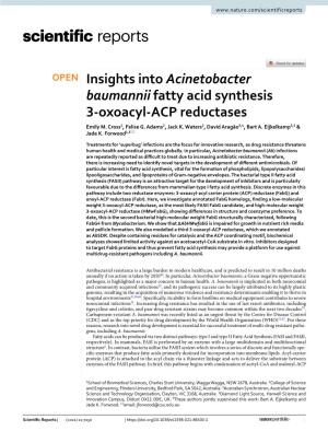 Insights Into Acinetobacter Baumannii Fatty Acid Synthesis 3-Oxoacyl-ACP
