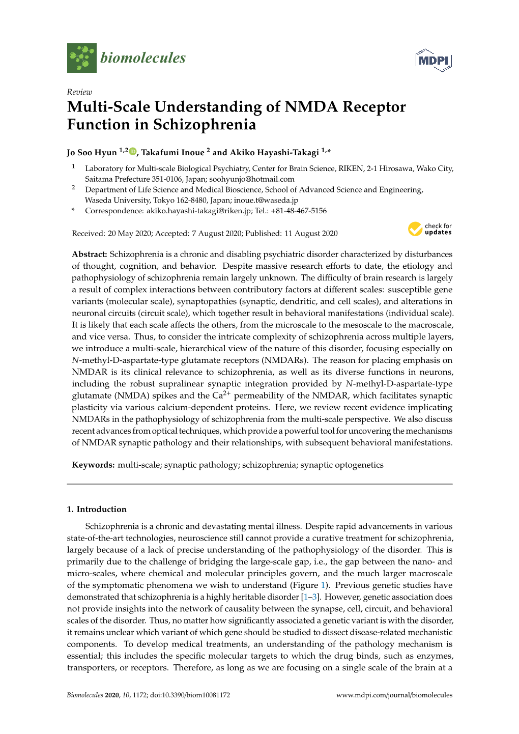 Multi-Scale Understanding of NMDA Receptor Function in Schizophrenia