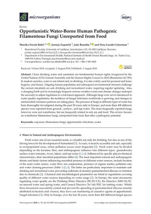 Opportunistic Water-Borne Human Pathogenic Filamentous Fungi Unreported from Food
