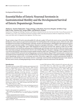 Essential Roles of Enteric Neuronal Serotonin in Gastrointestinal Motility and the Development/Survival of Enteric Dopaminergic Neurons