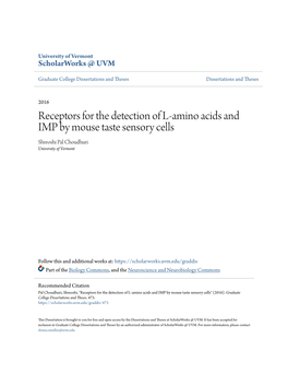 Receptors for the Detection of L-Amino Acids and IMP by Mouse Taste Sensory Cells Shreoshi Pal Choudhuri University of Vermont