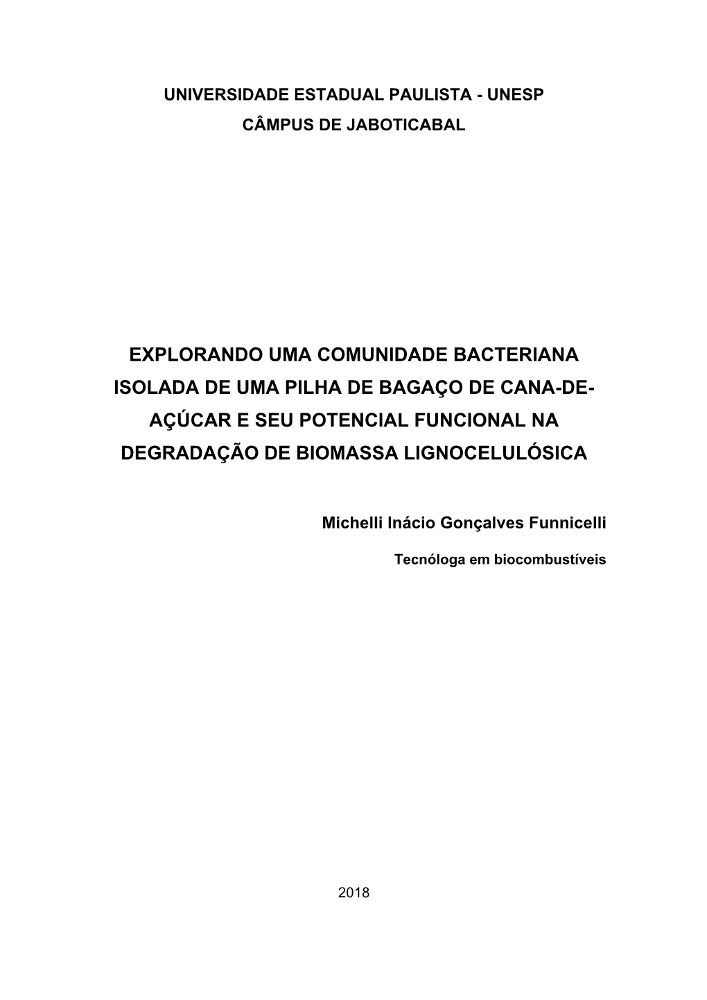 Explorando Uma Comunidade Bacteriana Isolada De Uma Pilha De Bagaço De Cana-De- Açúcar E Seu Potencial Funcional Na Degradação De Biomassa Lignocelulósica