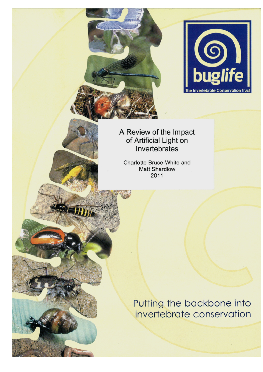 Impact of Artificial Light on Invertebrates Final Docx