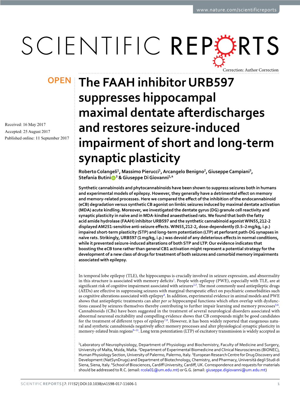 The FAAH Inhibitor URB597 Suppresses Hippocampal Maximal