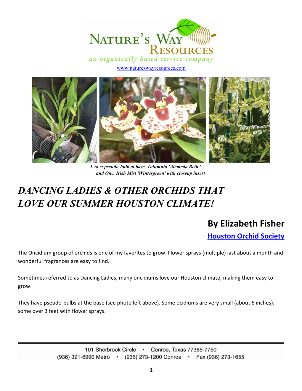 Dancing Ladies & Other Orchids That Love Our