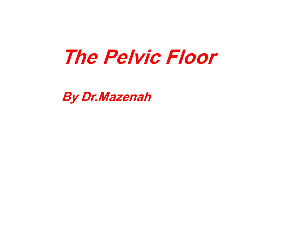 The Pelvic Floor