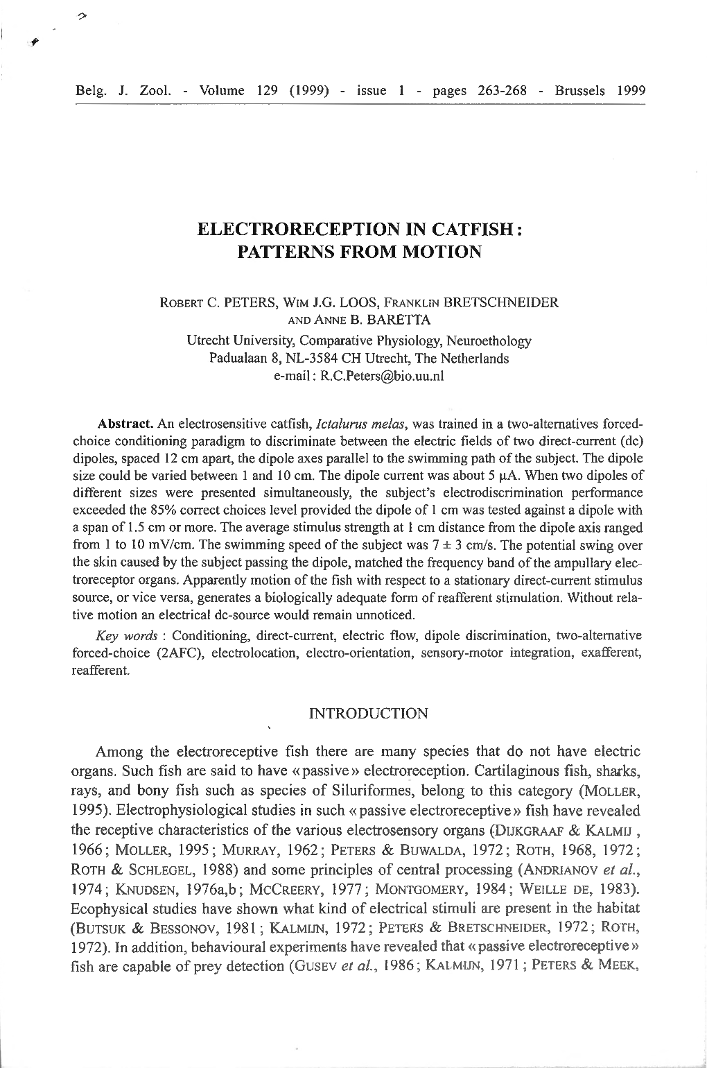 Electroreception in Catfish: Patterns from Motion