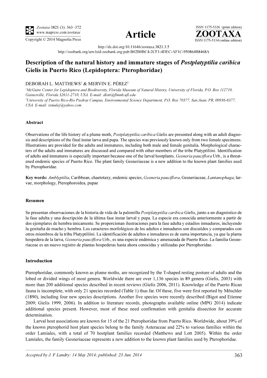 Description of the Natural History and Immature Stages of Postplatyptilia Caribica Gielis in Puerto Rico (Lepidoptera: Pterophoridae)