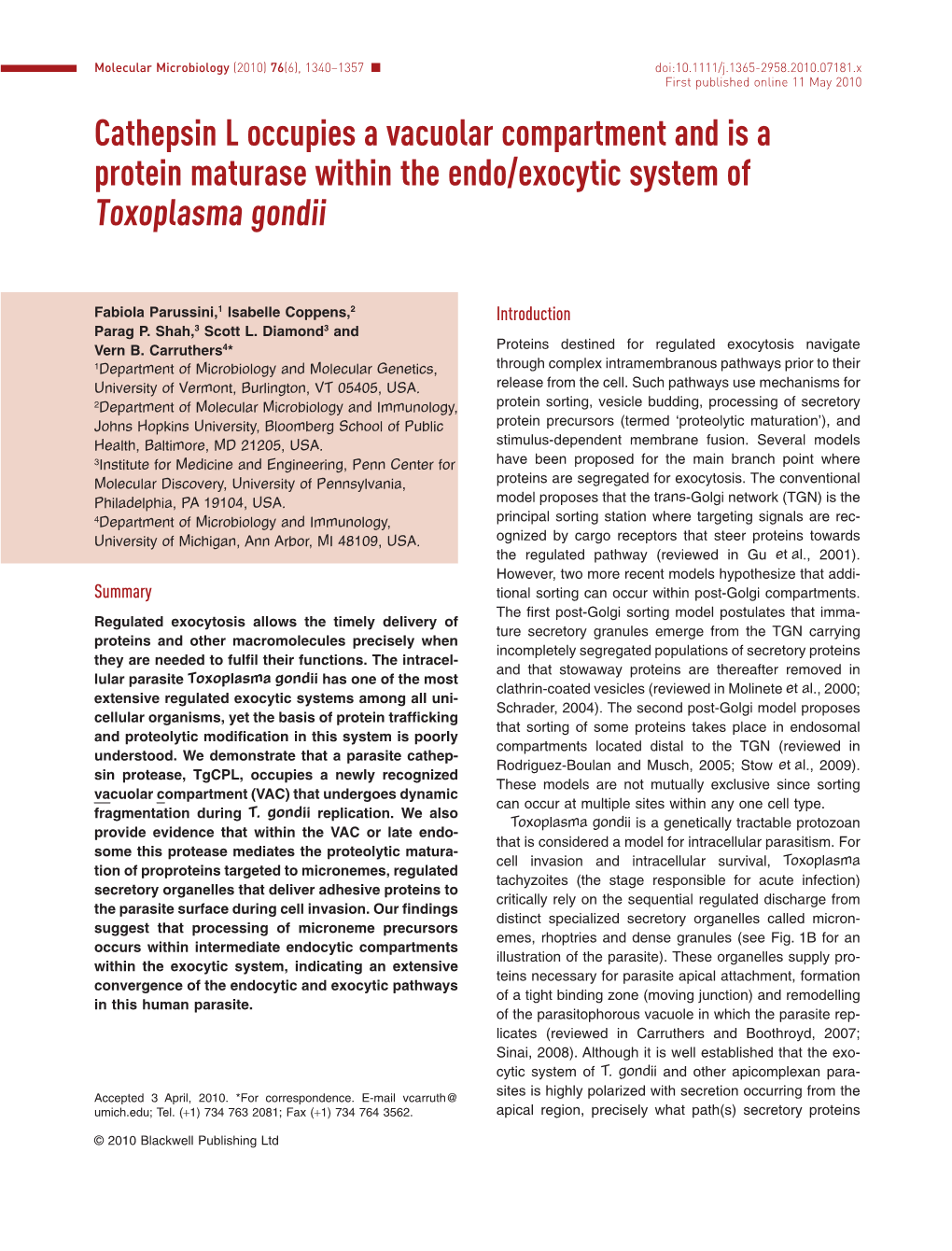 Cathepsin L Occupies a Vacuolar Compartment and Is a Protein Maturase Within the Endo/Exocytic System Of