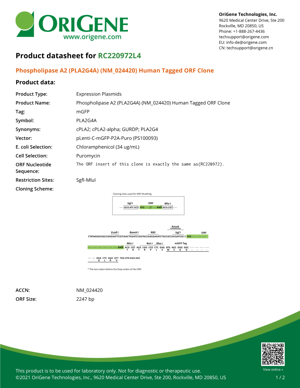 Phospholipase A2 (PLA2G4A) (NM 024420) Human Tagged ORF Clone Product Data