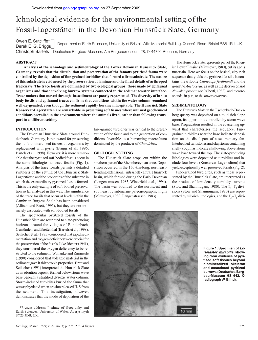 Ichnological Evidence for the Environmental Setting of the Fossil-Lagerstätten in the Devonian Hunsrück Slate, Germany