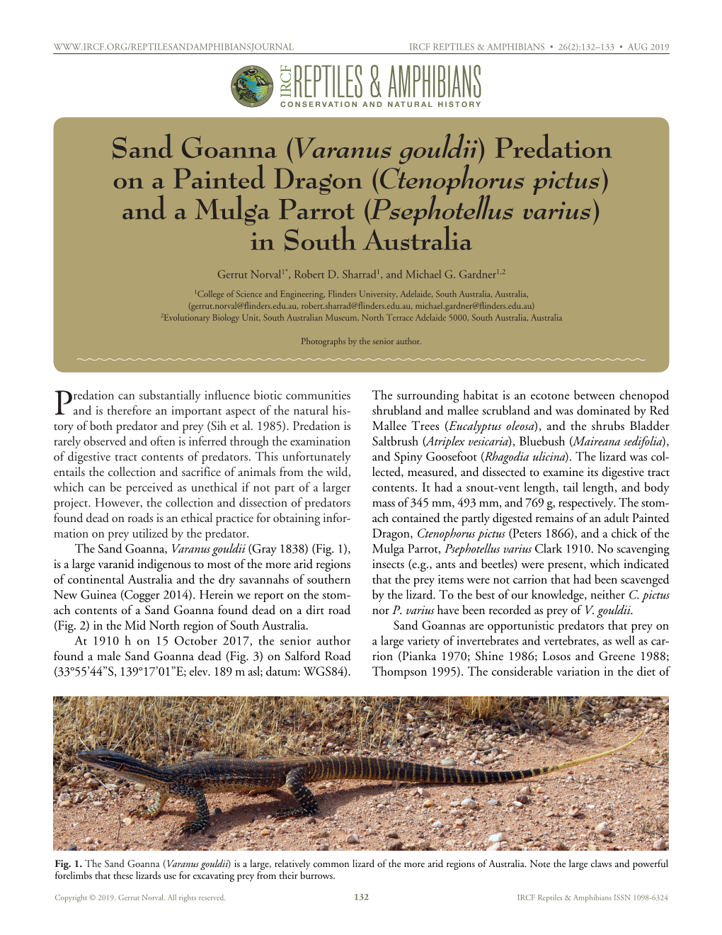 Varanus Gouldii (Gray 1838) (Fig