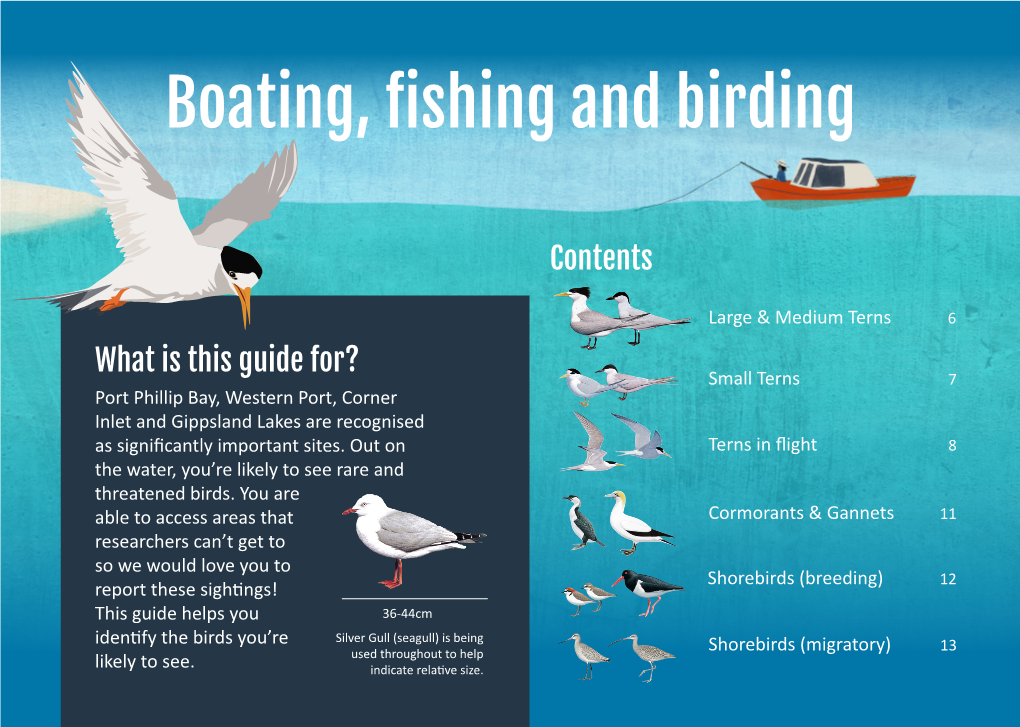 Tern Flip Guide