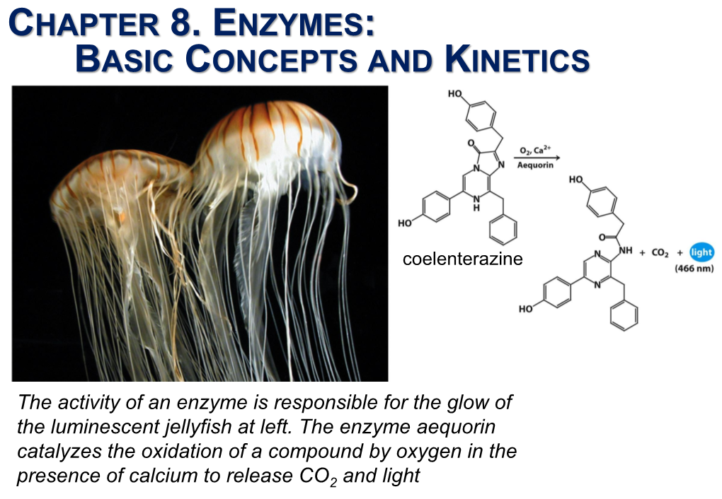 Chapter 8. Enzymes: Basic Concepts and Kinetics