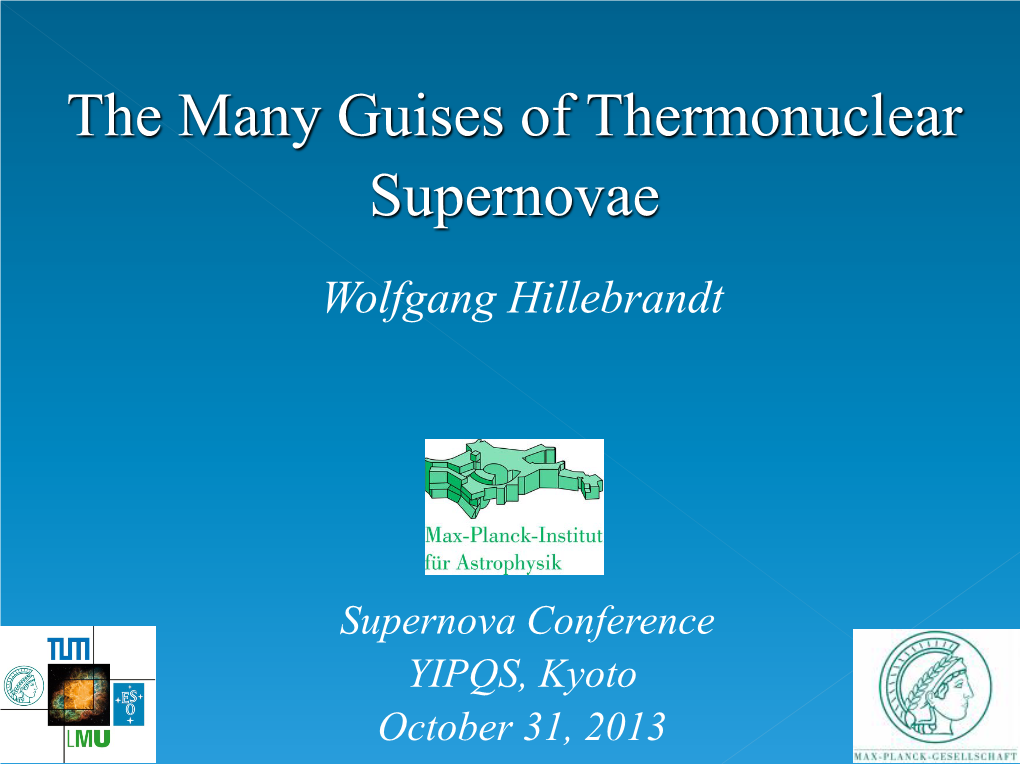 The Many Guises of Thermonuclear Supernovae
