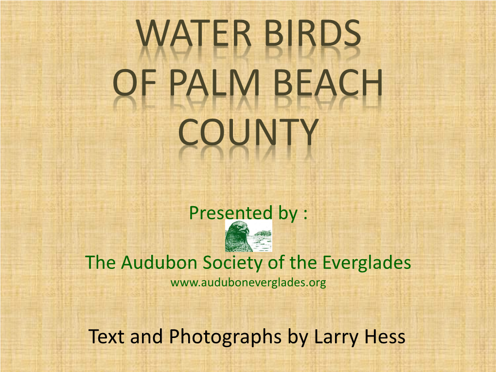 Water Birds of Palm Beach County