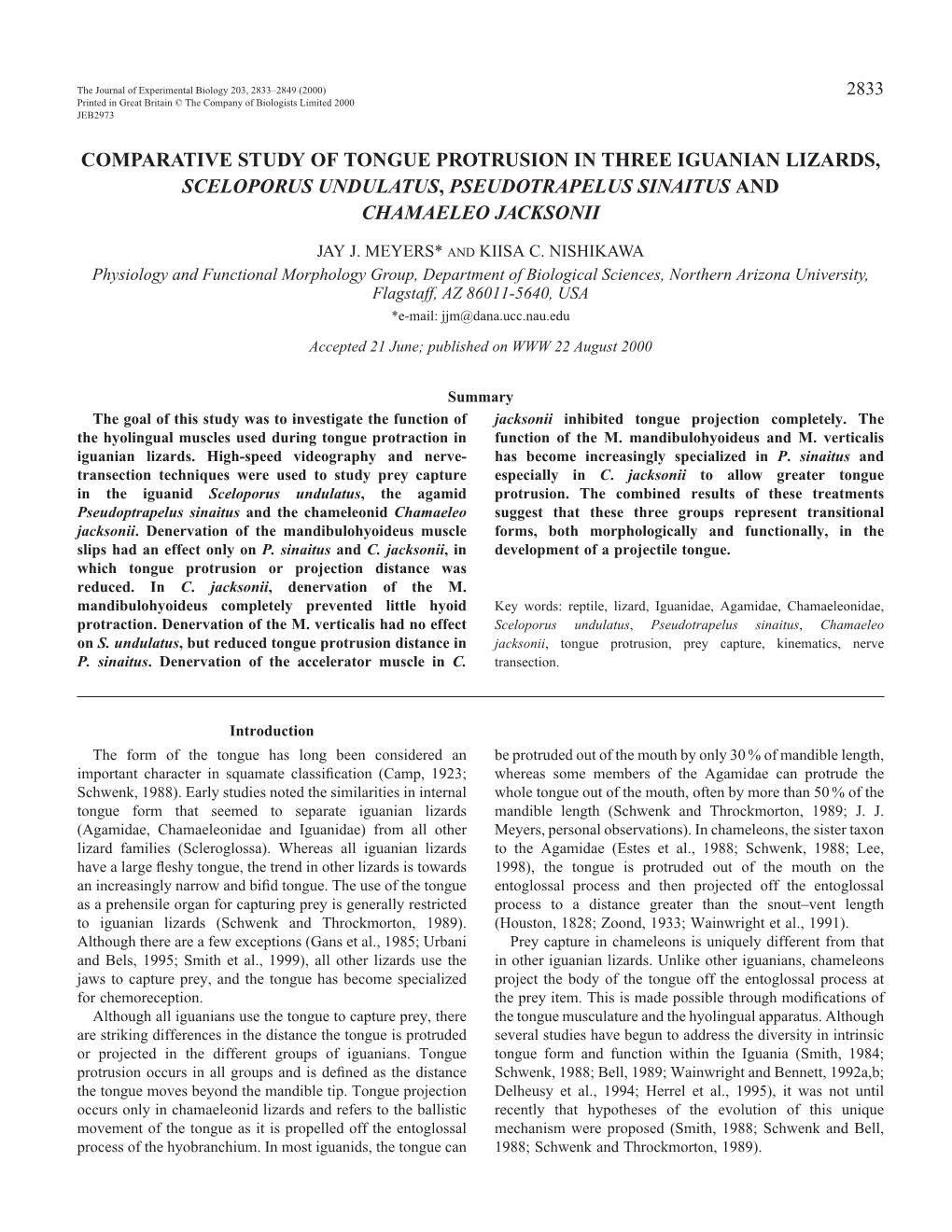 Tongue Protrusion in Iguanian Lizards 2835 Length 5.3–6.3 Cm) in This Study Were Collected in Coconino Co., Room Temperature (23–26 °C)