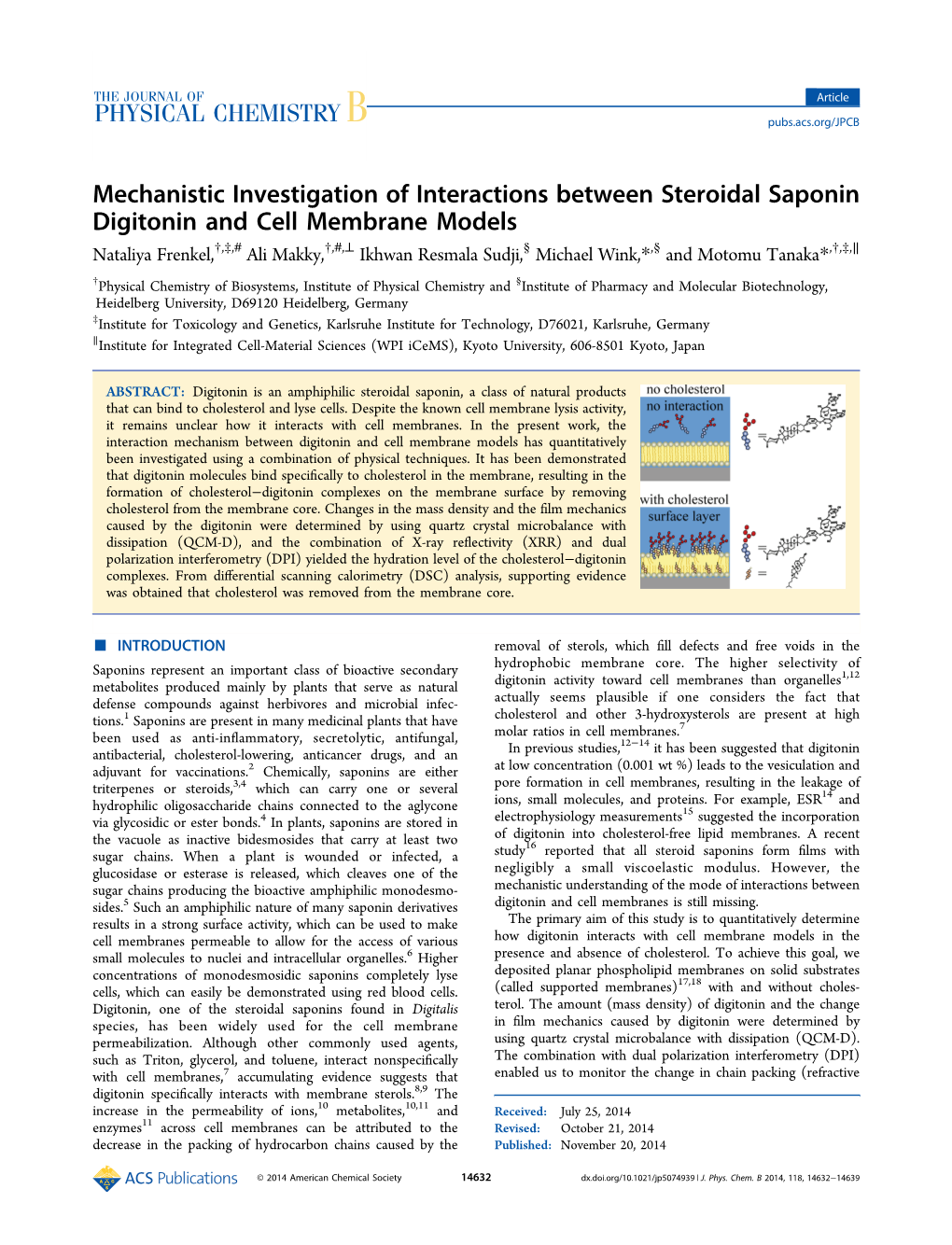 Mechanistic Investigation of Interactions Between Steroidal