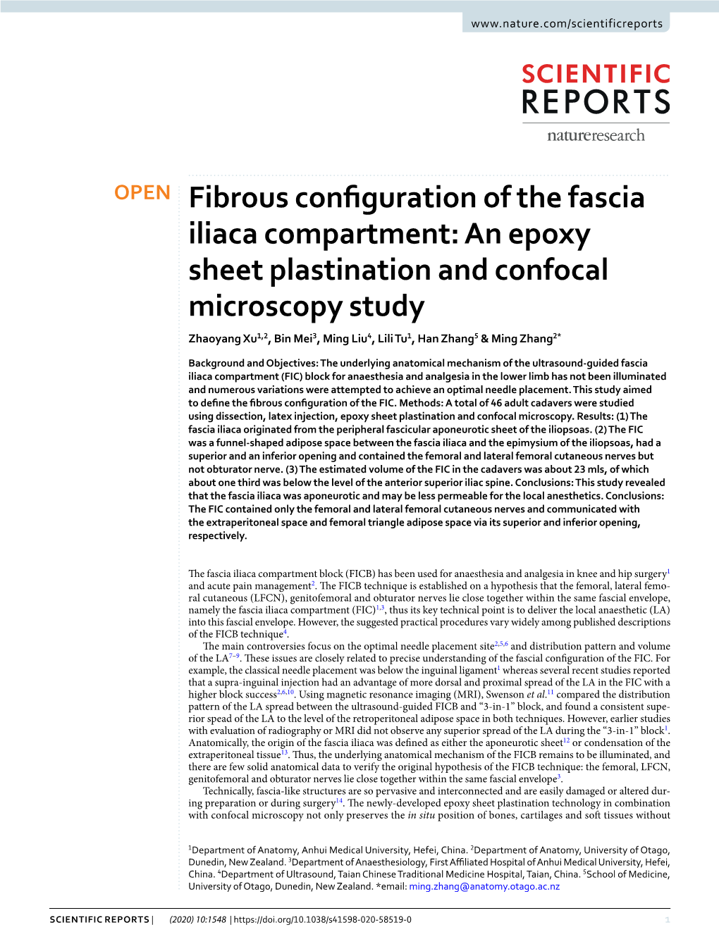 Fibrous Configuration of the Fascia Iliaca Compartment: an Epoxy Sheet