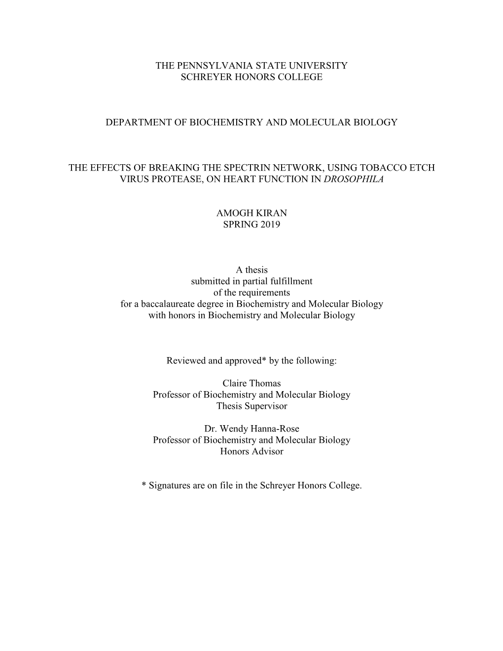 Open Final Thesis Submission.Pdf