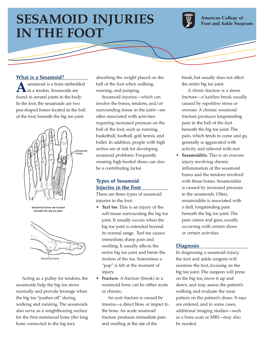 Sesamoid Injuries in the Foot