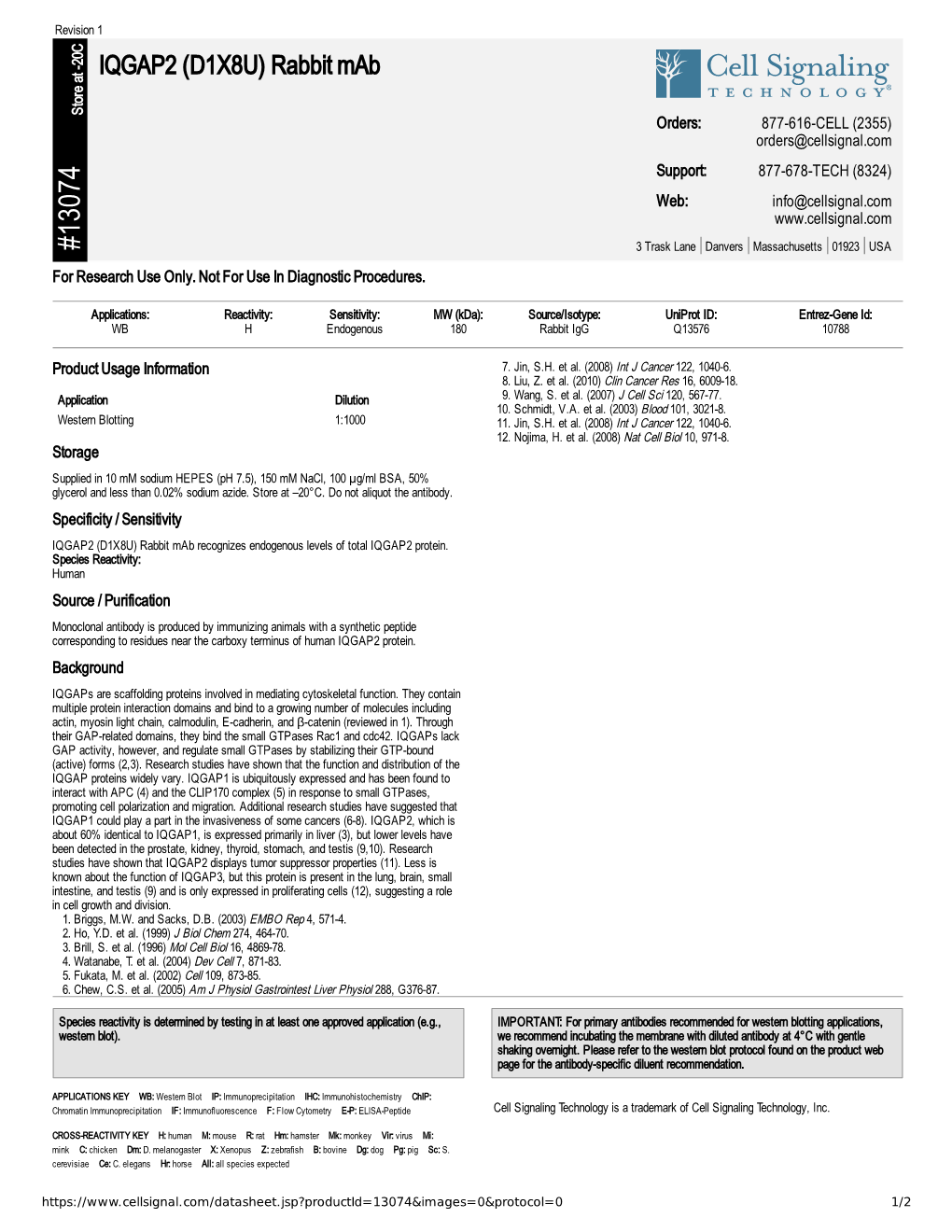 13074 IQGAP2 (D1X8U) Rabbit Mab