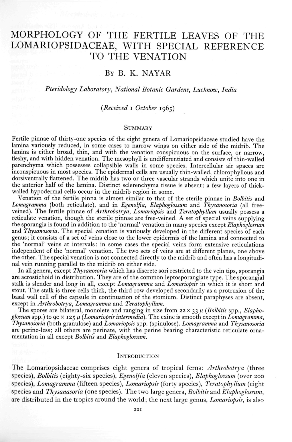 Morphology of the Fertile Leaves of the Lomariopsidaceae, with Special Reference to the Venation by B