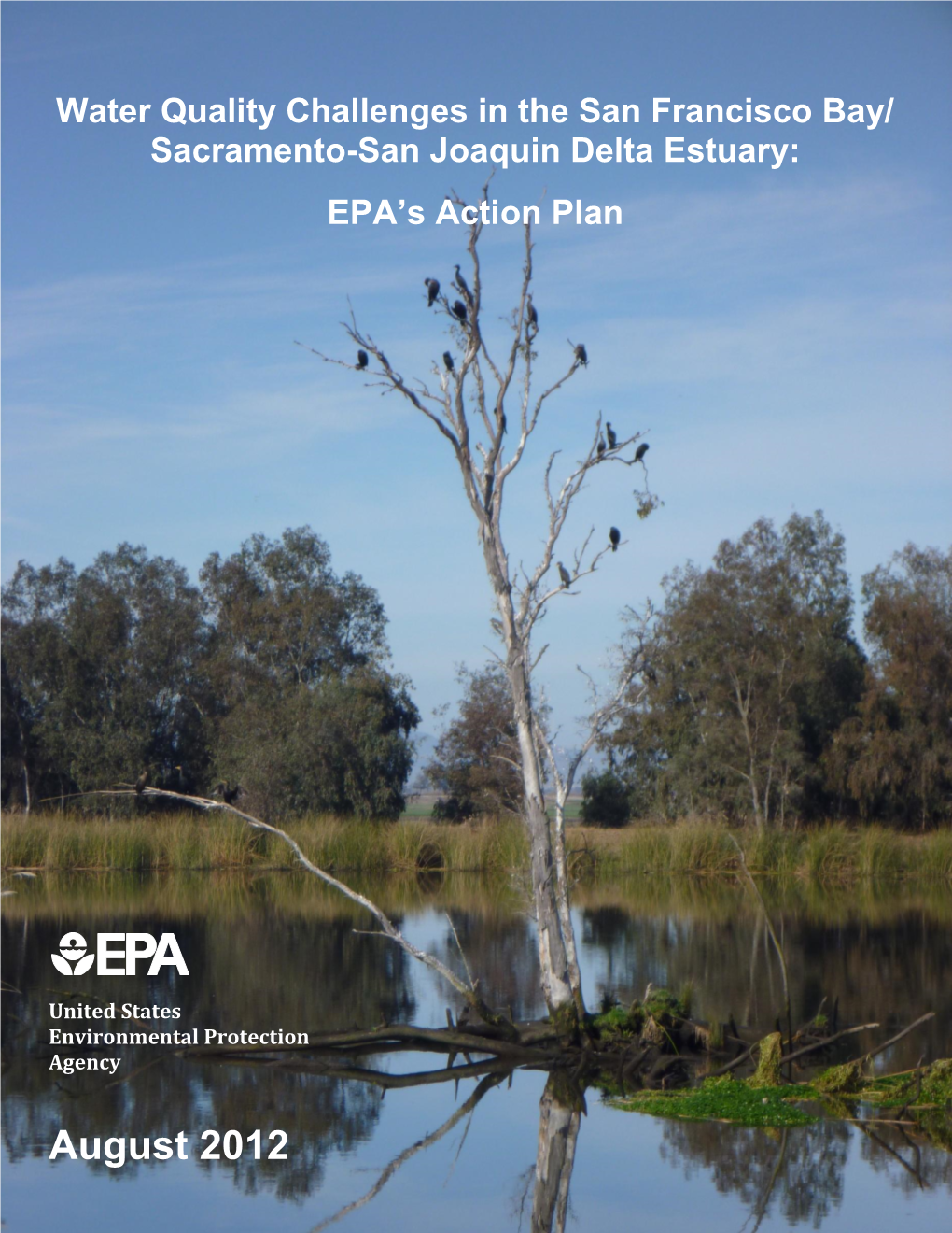 Water Quality Challenges in the San Francisco Bay/ Sacramento-San Joaquin Delta Estuary: EPA’S Action Plan