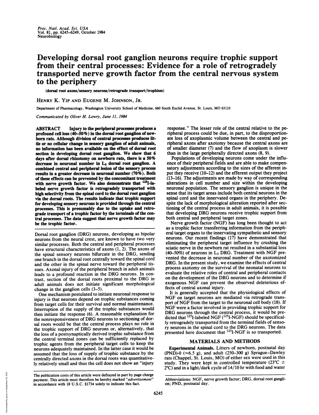 Developing Dorsal Root Ganglion Neurons Require Trophic