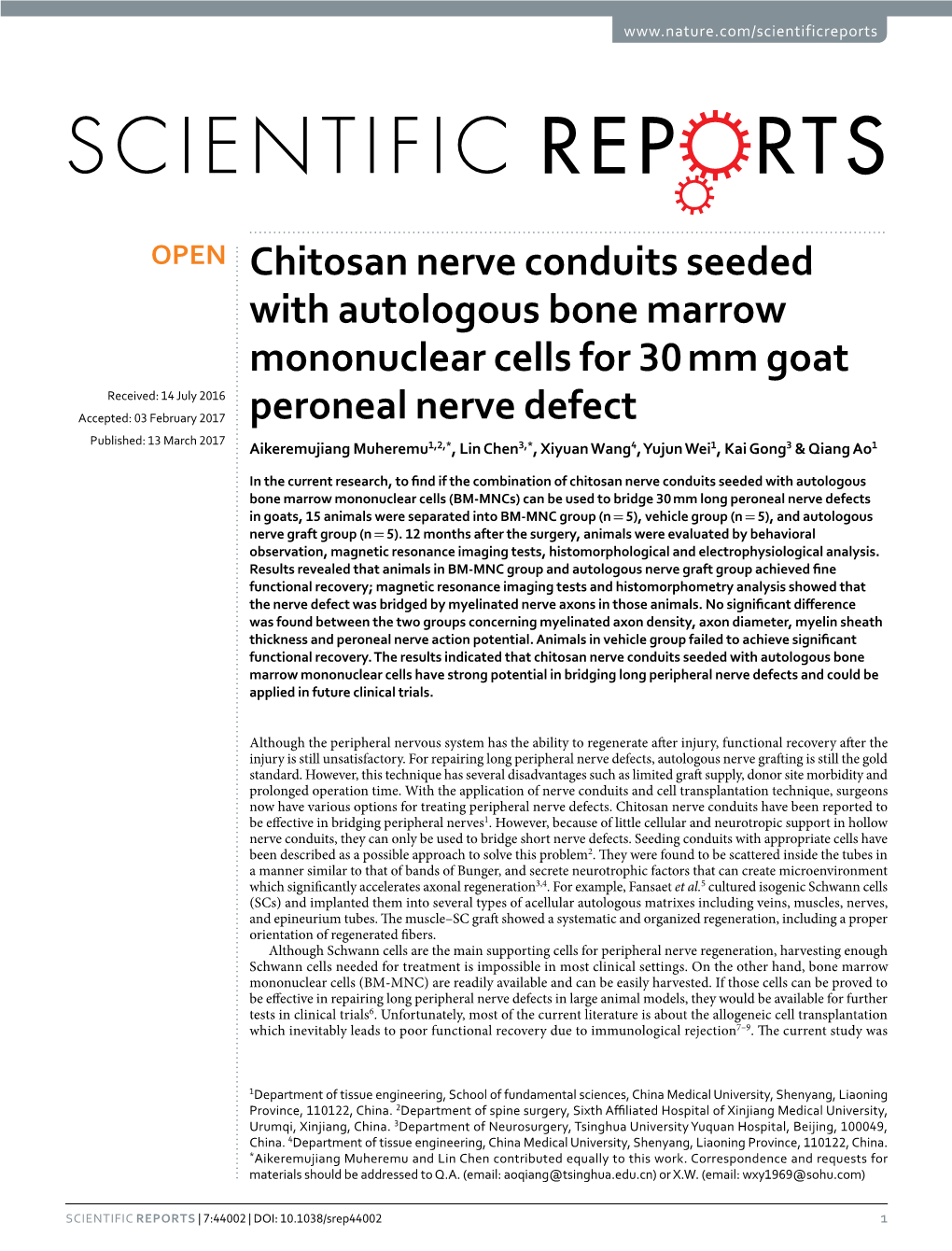 Chitosan Nerve Conduits Seeded with Autologous Bone Marrow