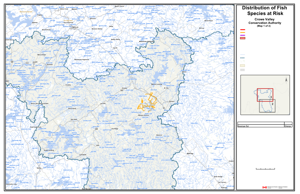 Distribution of Fish Species at Risk