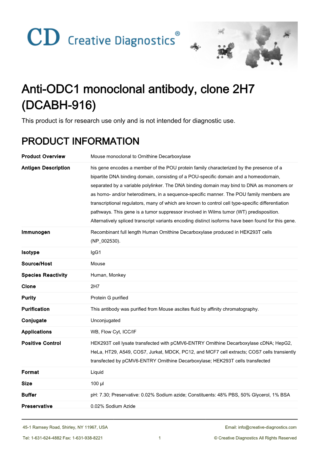Anti-ODC1 Monoclonal Antibody, Clone 2H7 (DCABH-916) This Product Is for Research Use Only and Is Not Intended for Diagnostic Use