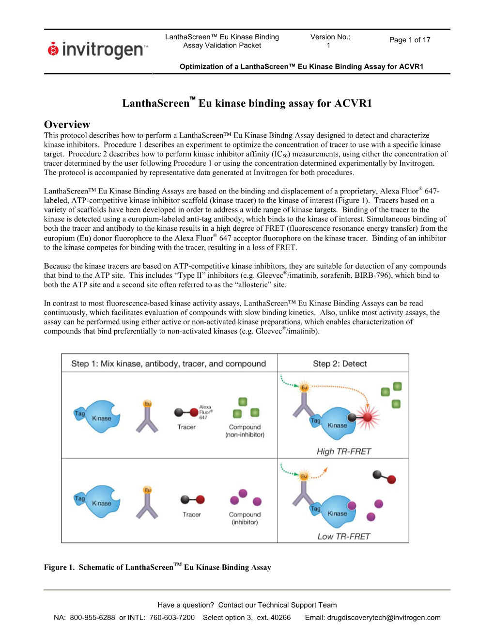 Lanthascreen Eu Kinase Binding Assay for ACVR1 Overview