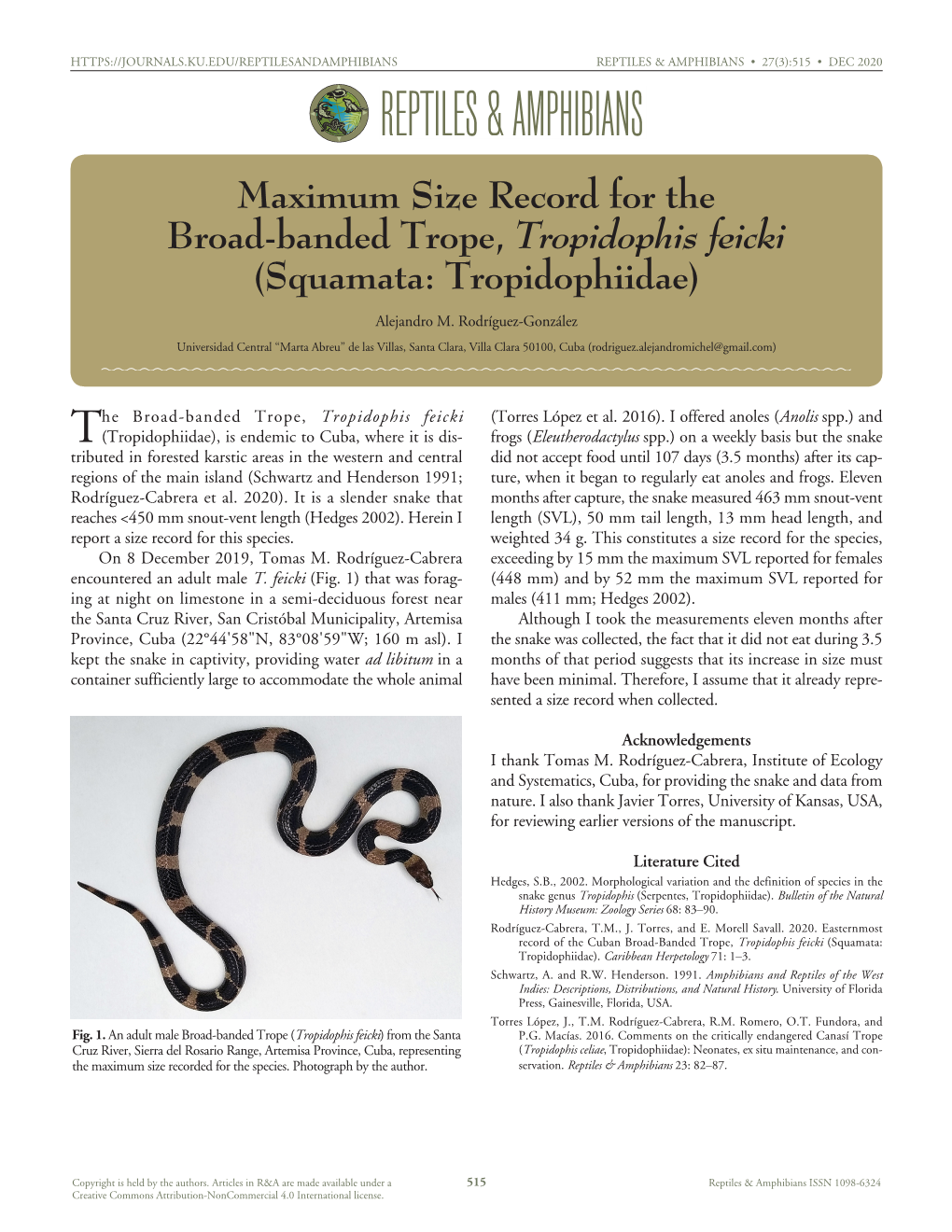 Tropidophis Feicki (Torres López Et Al