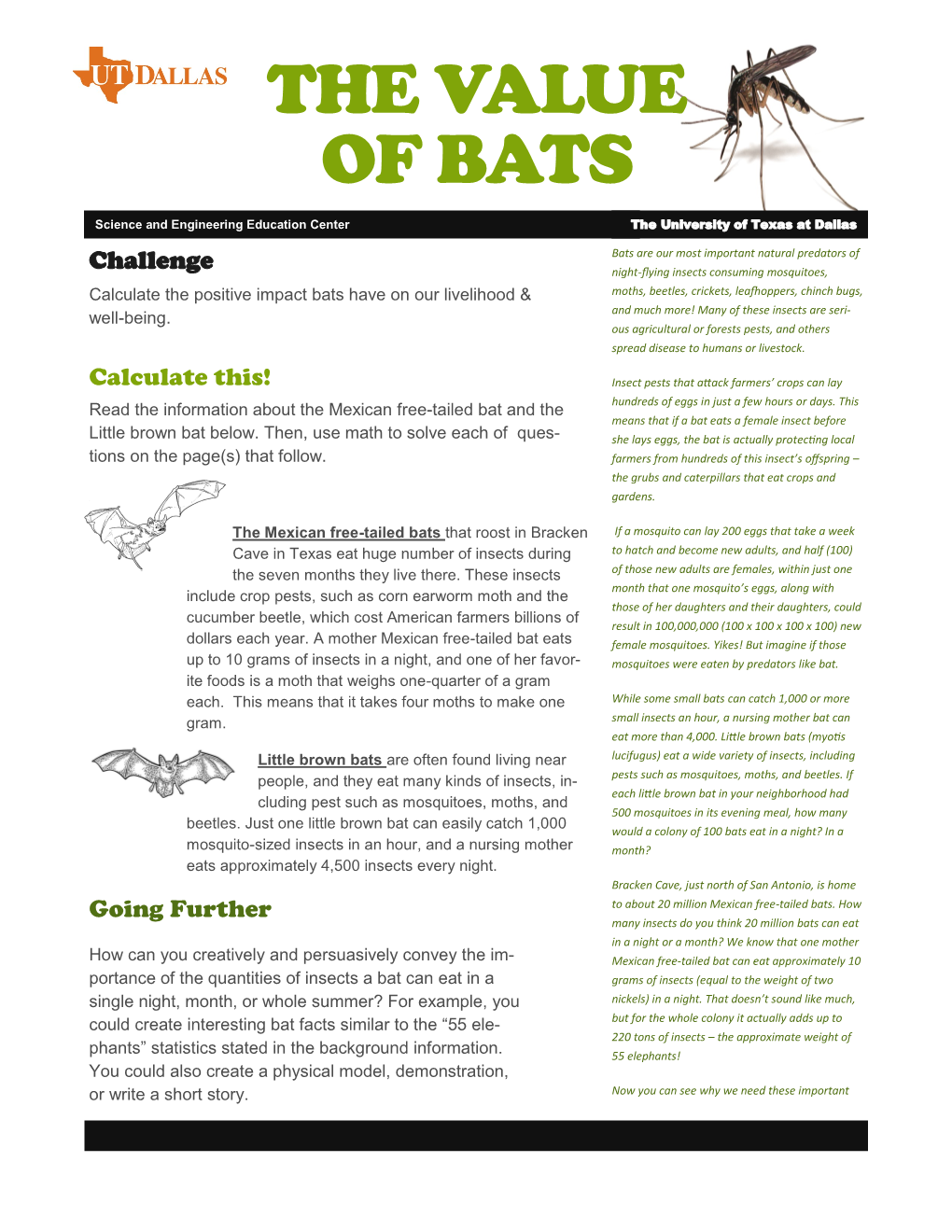 The Value of Bats