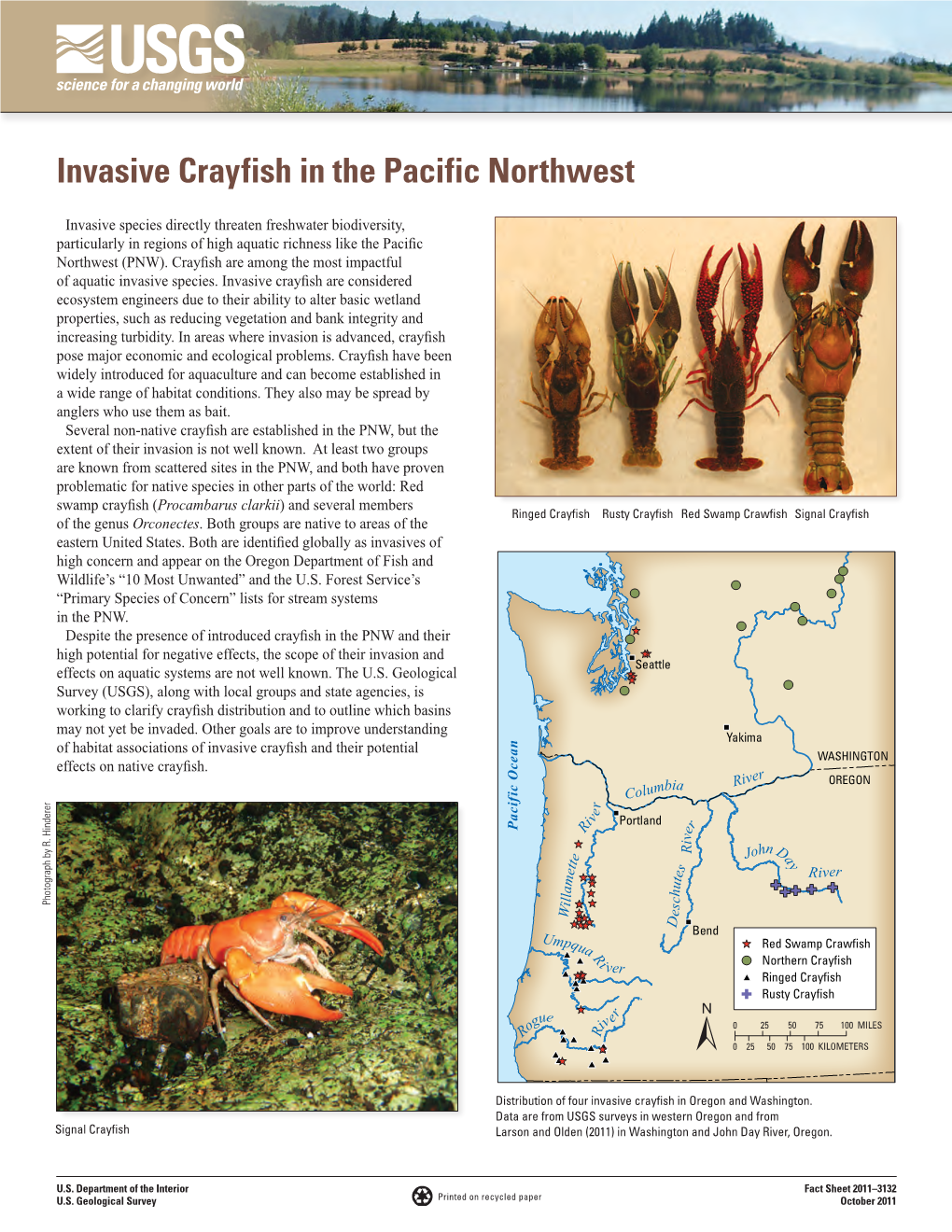 Invasive Crayfish in the Pacific Northwest